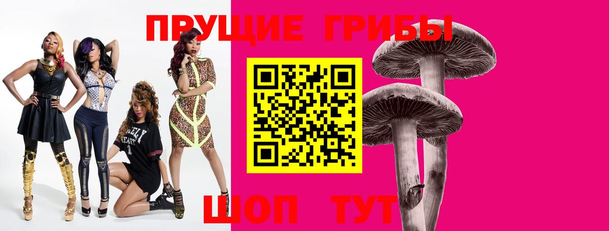 Псилоцибиновые грибы Psilocybine cubensis Ейск